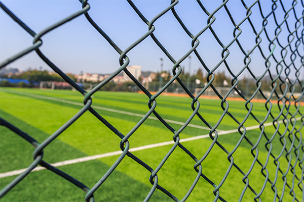 Chain Link Fence